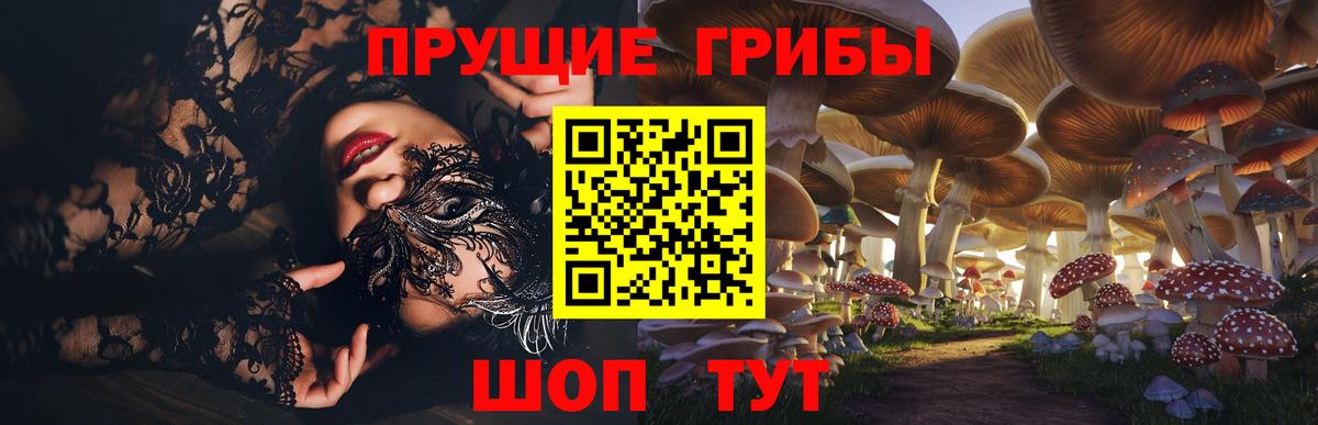 Псилоцибиновые грибы мухоморы Юрга